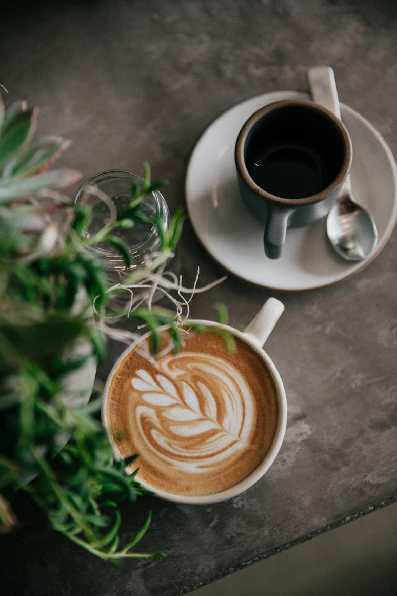 A latte with delicate fern art beside an espresso on a dark stone tabletop