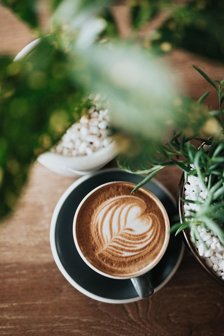 An overhead latte with delicate fern art surrounded by plants on a wooden table